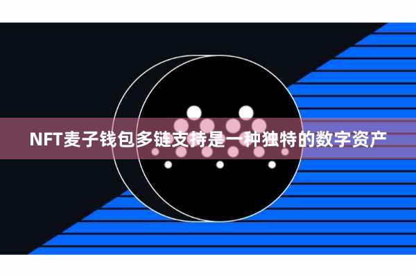 NFT麦子钱包多链支持是一种独特的数字资产