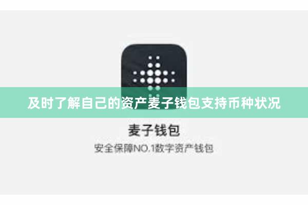 及时了解自己的资产麦子钱包支持币种状况