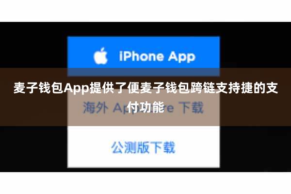 麦子钱包App提供了便麦子钱包跨链支持捷的支付功能