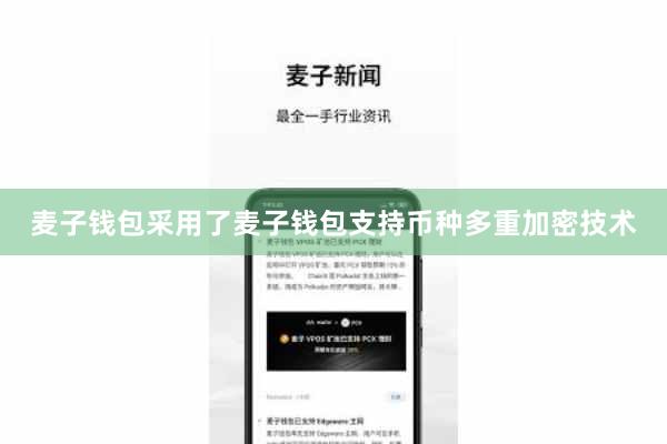 麦子钱包采用了麦子钱包支持币种多重加密技术
