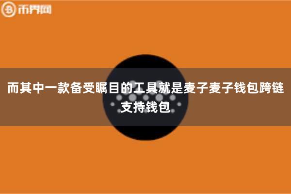 而其中一款备受瞩目的工具就是麦子麦子钱包跨链支持钱包