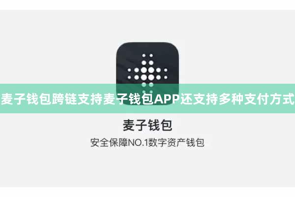 麦子钱包跨链支持麦子钱包APP还支持多种支付方式