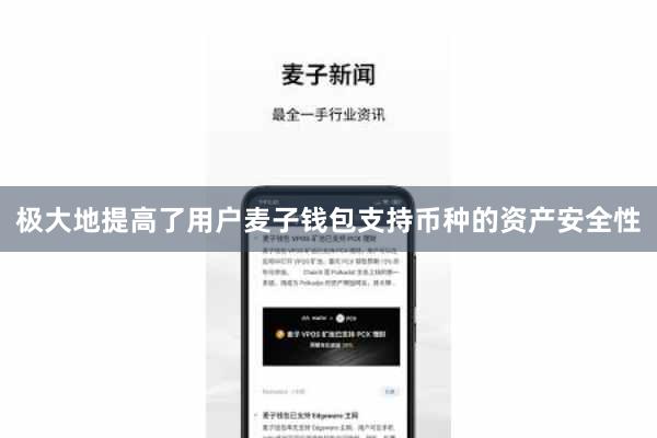 极大地提高了用户麦子钱包支持币种的资产安全性