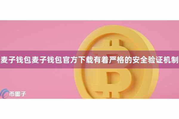 麦子钱包麦子钱包官方下载有着严格的安全验证机制