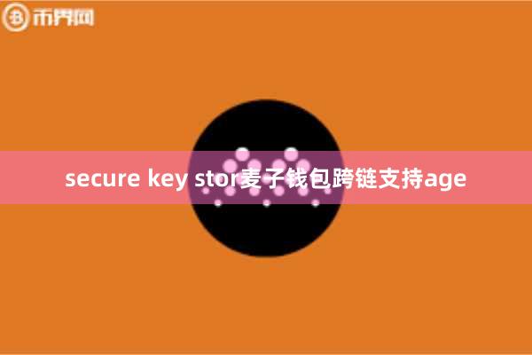 secure key stor麦子钱包跨链支持age