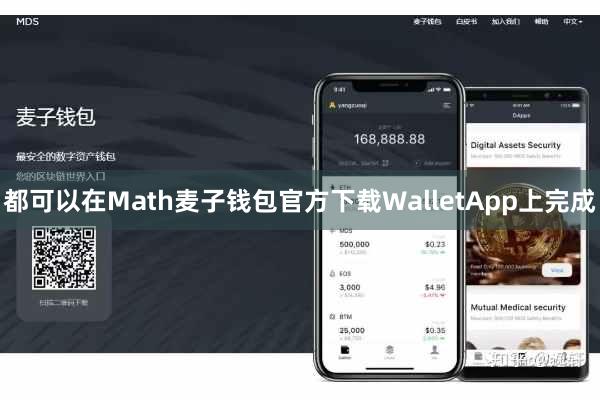 都可以在Math麦子钱包官方下载WalletApp上完成