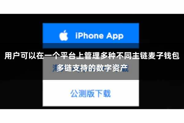 用户可以在一个平台上管理多种不同主链麦子钱包多链支持的数字资产