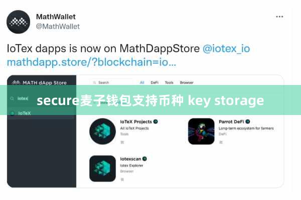 secure麦子钱包支持币种 key storage