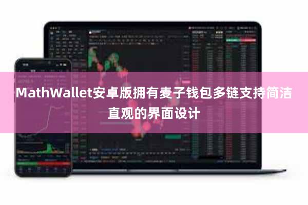 MathWallet安卓版拥有麦子钱包多链支持简洁直观的界面设计