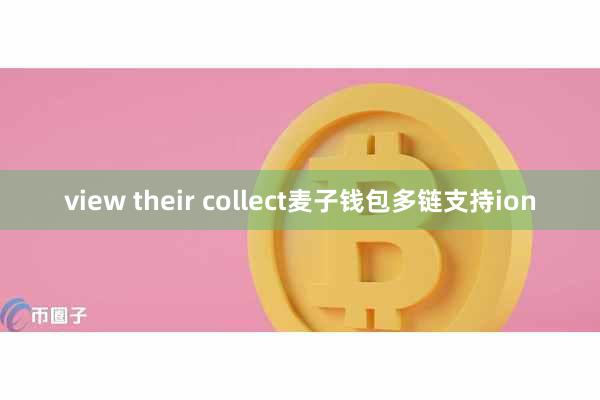 view their collect麦子钱包多链支持ion
