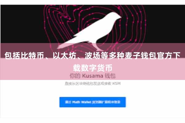 包括比特币、以太坊、波场等多种麦子钱包官方下载数字货币