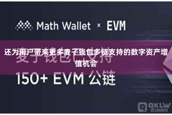 还为用户带来更多麦子钱包多链支持的数字资产增值机会