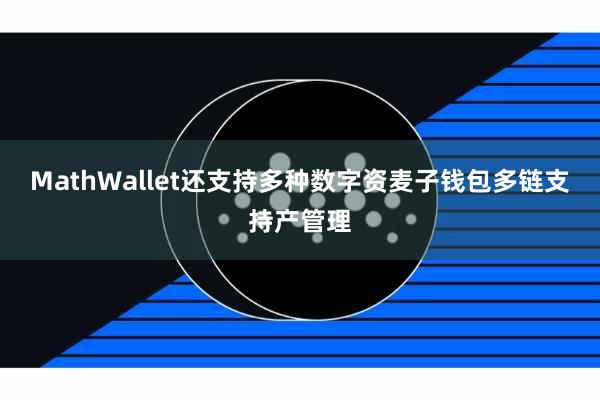 MathWallet还支持多种数字资麦子钱包多链支持产管理