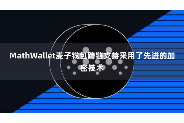 MathWallet麦子钱包跨链支持采用了先进的加密技术